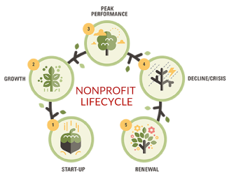 Circular graphic showing the steps of the nonprofit lifecycle using the metaphor of an acorn growing into a tree.