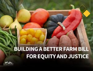 Building a Better Farm Bill for Equity and Justice